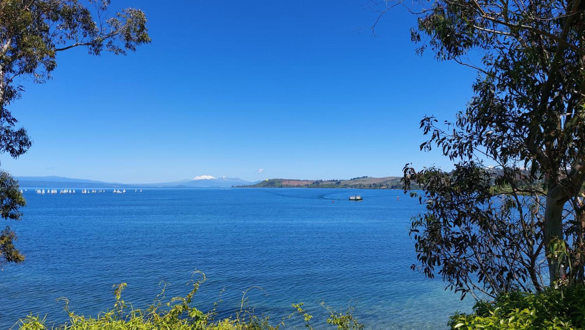 Bed And Breakfast Happy Home Taupo Accommodation 外观 照片